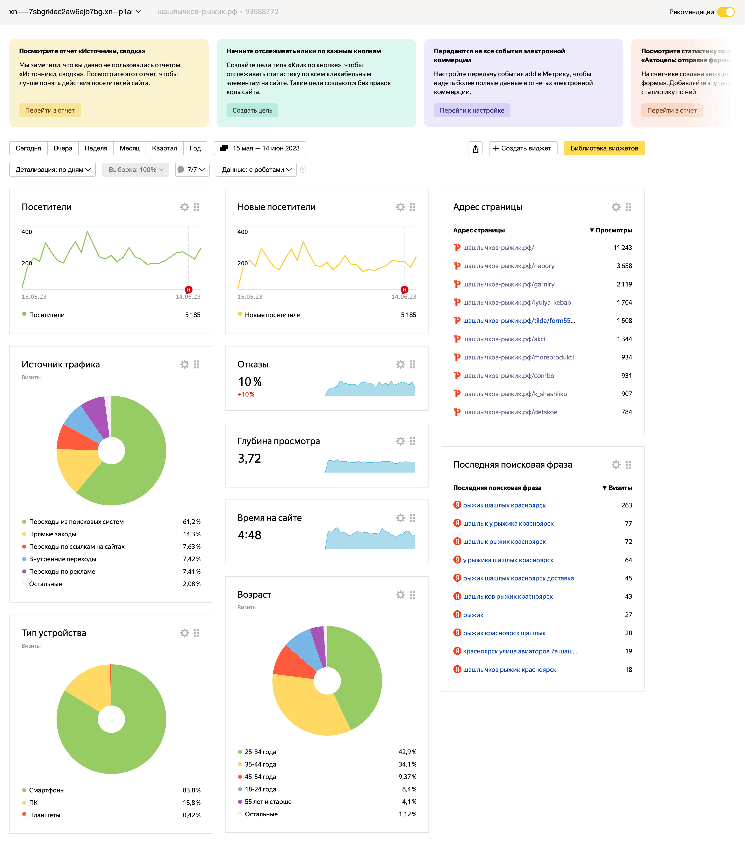 Статистика SEO проекта Шашлычков Рыжик